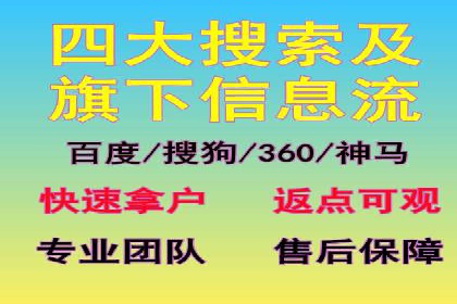 成功企业SEM竞价代运营案例研究